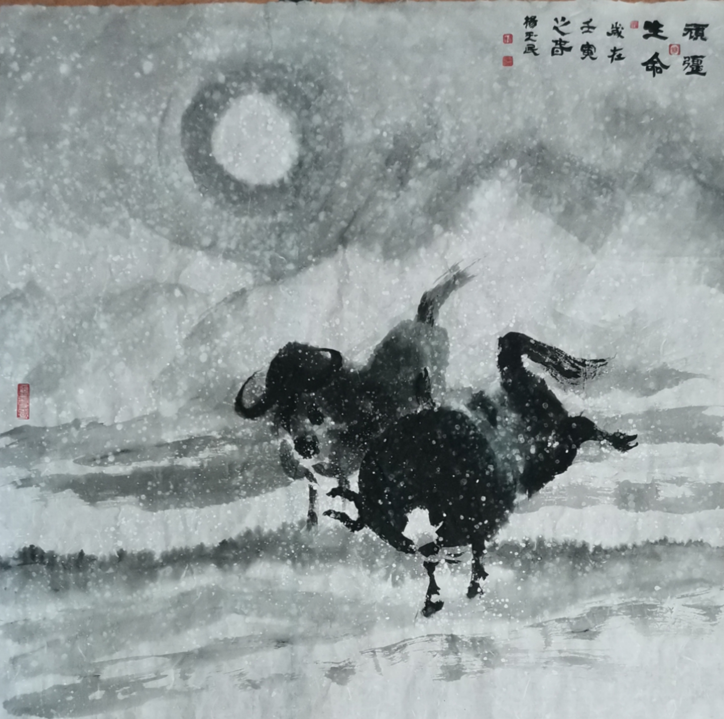 杨玉民(图10)