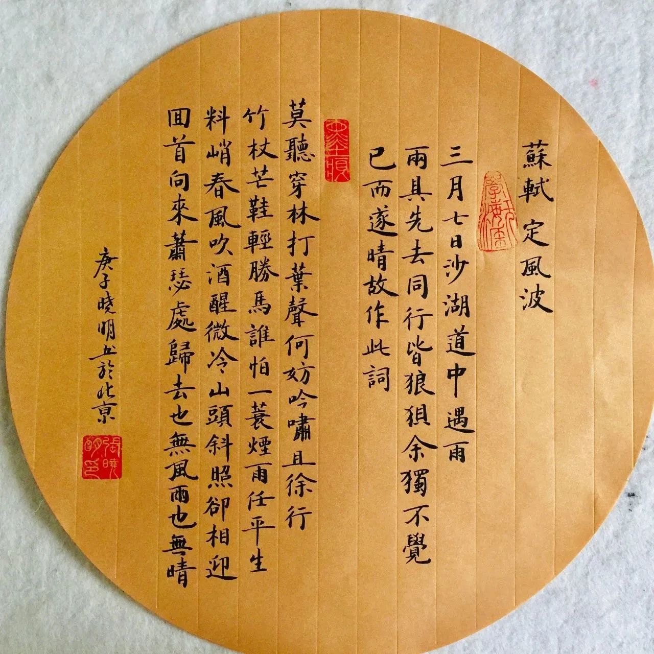 张晓明(名誉会长）(图14)